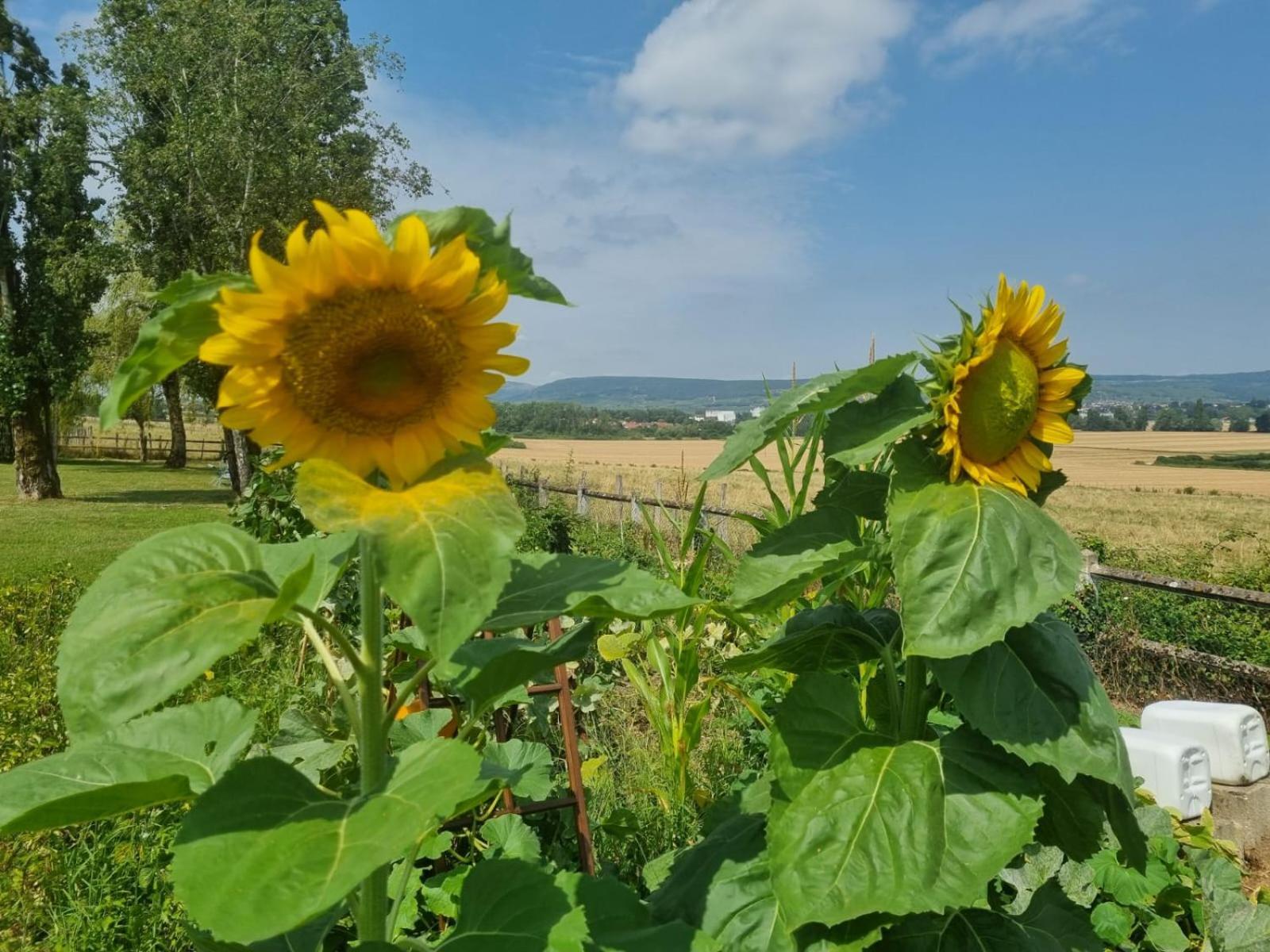 La Fruitiere Apartment Chaudenay Екстериор снимка